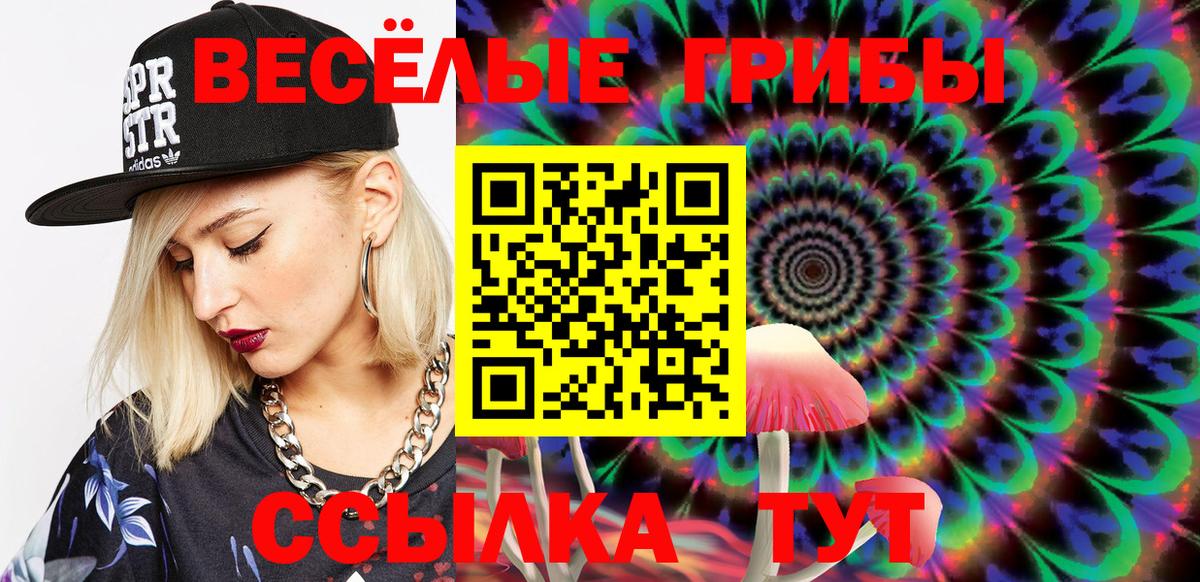 Галлюциногенные грибы Psilocybine cubensis  Вход с VPN  Можга 